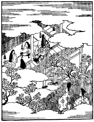 若紫　挿絵